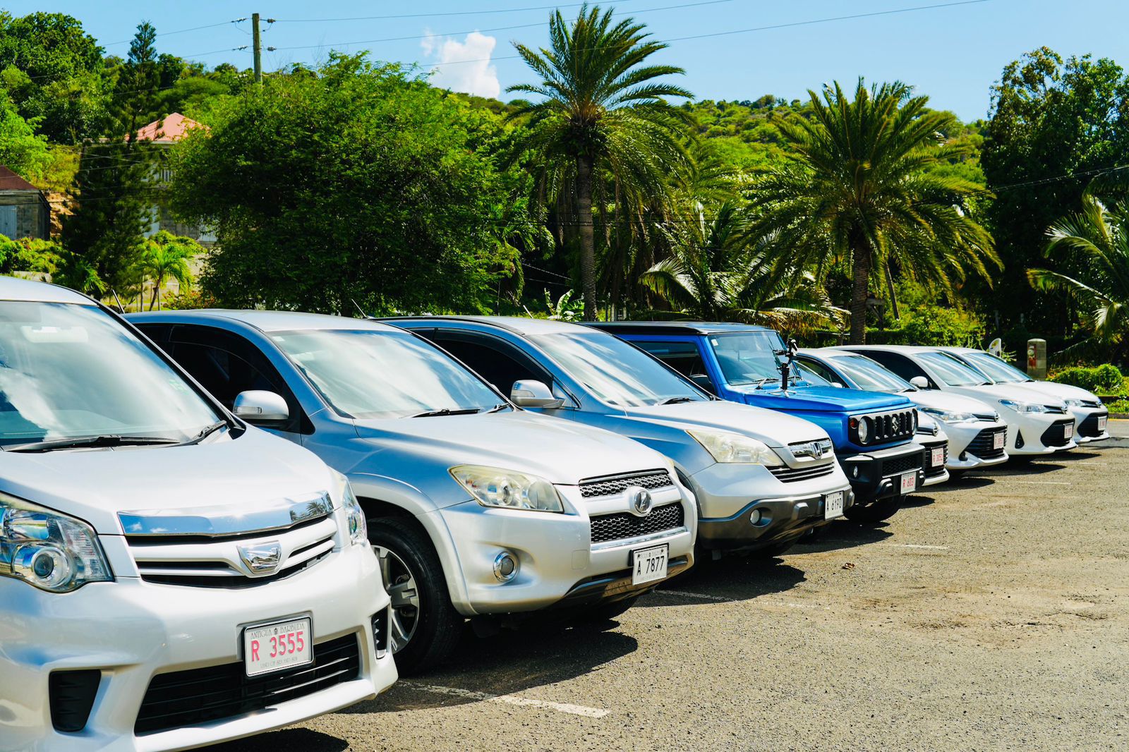 WhatsApp Image 2025-12-20 at 10.17.36 AM(1)