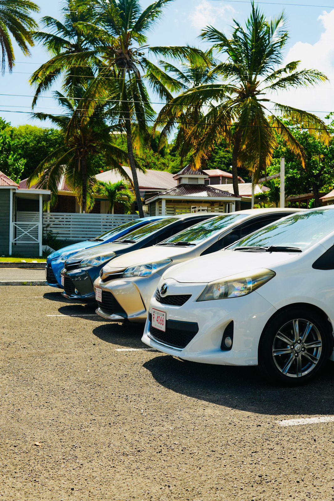 WhatsApp Image 2025-12-20 at 10.17.37 AM