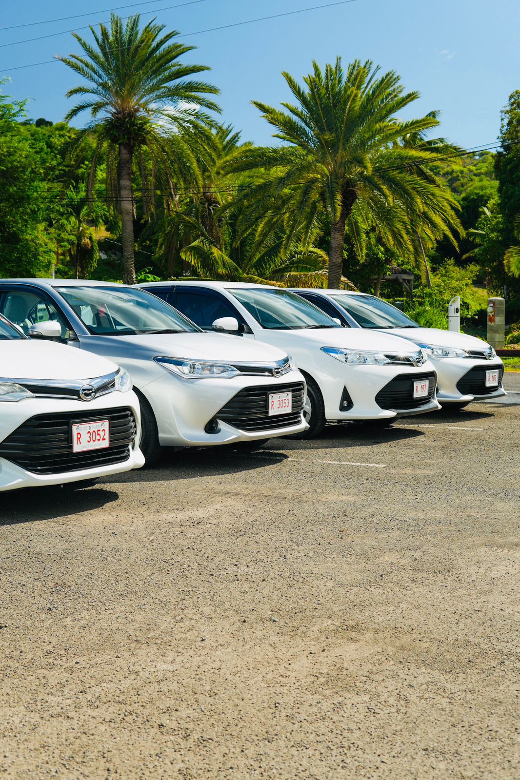 WhatsApp Image 2025-12-20 at 10.17.37 AM(1)