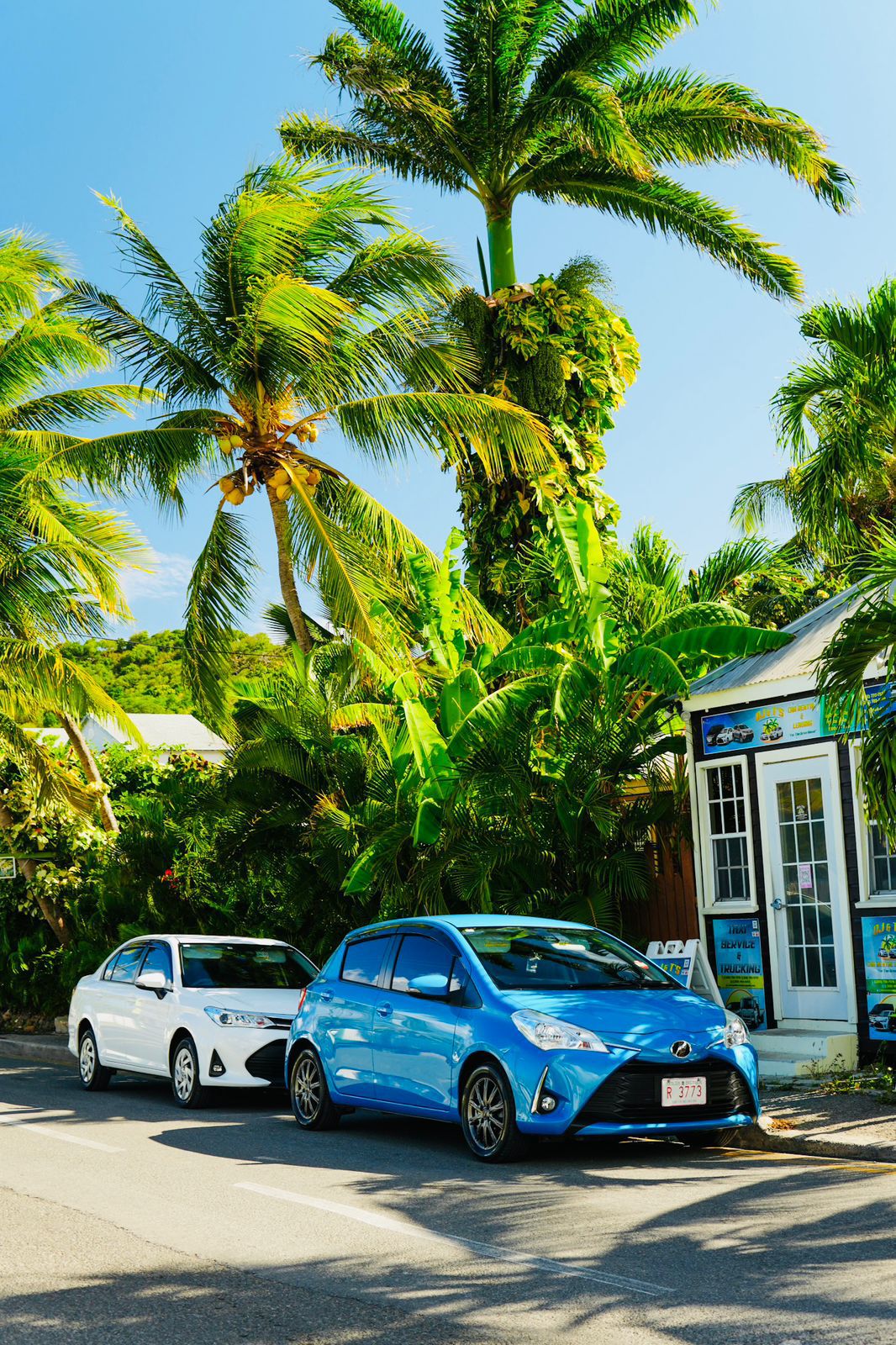 WhatsApp Image 2025-12-20 at 10.17.37 AM(2)