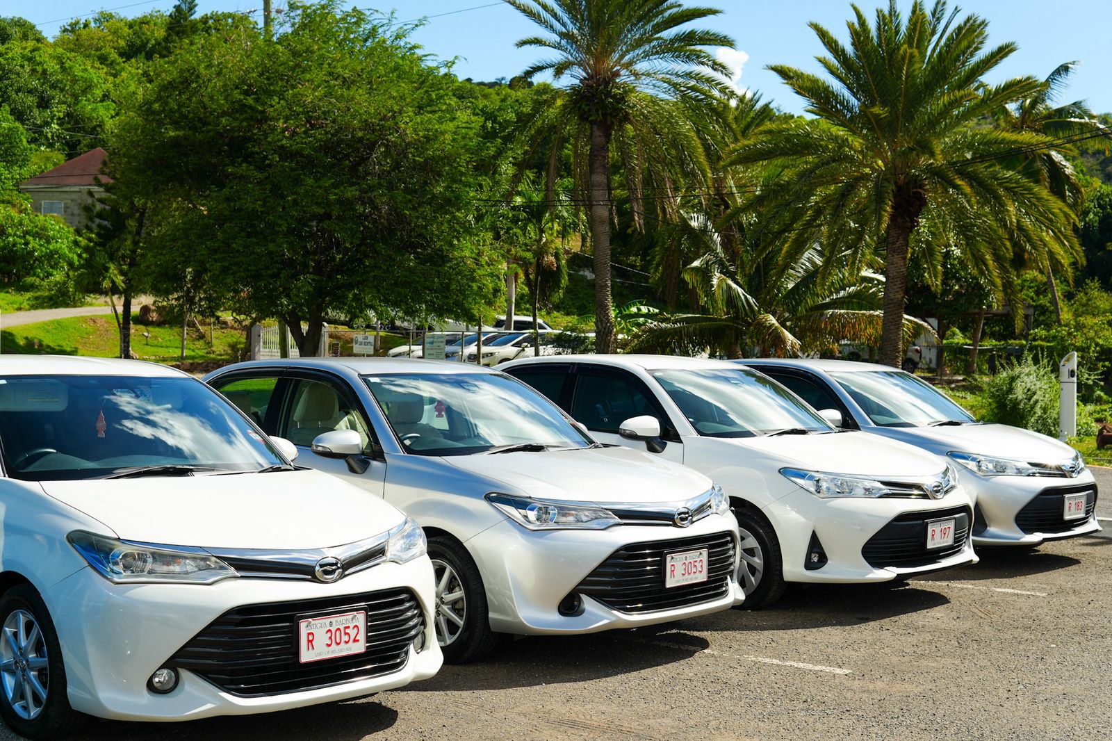 WhatsApp Image 2025-12-20 at 10.17.38 AM(1)