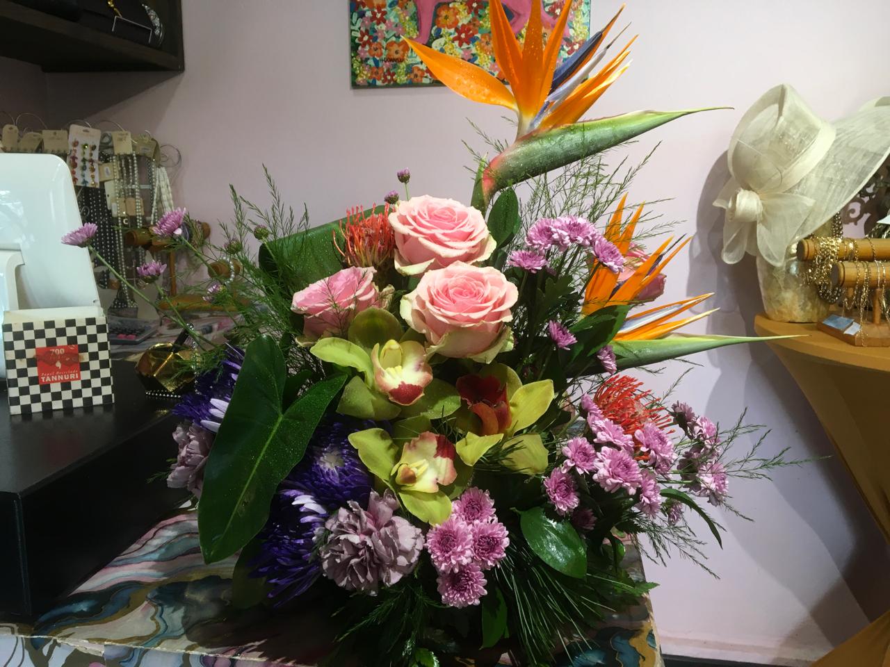 WhatsApp Image 2026-01-14 at 4.49.15 PM