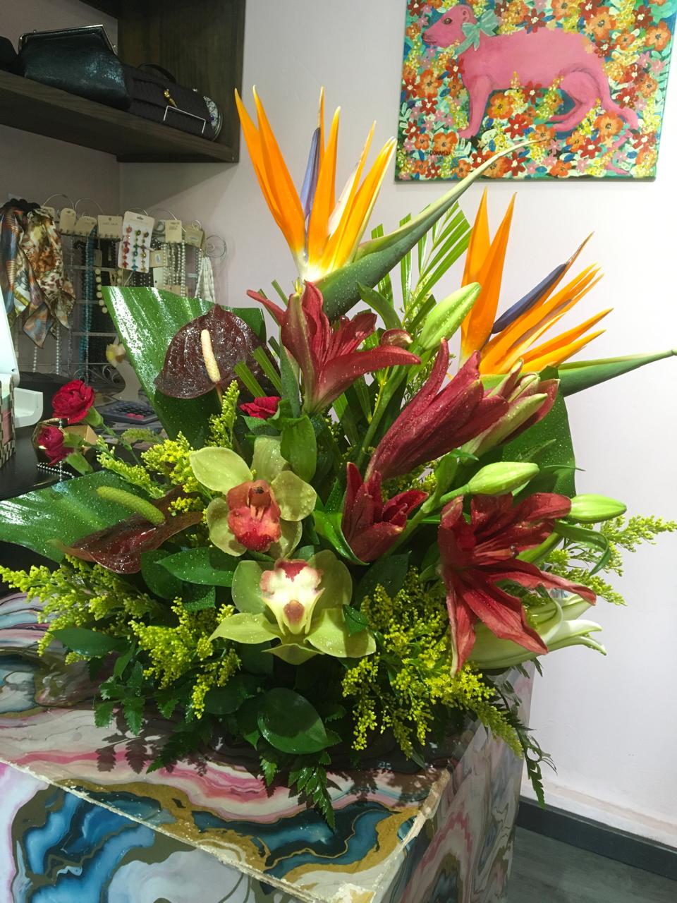 WhatsApp Image 2026-01-14 at 4.49.15 PM(1)