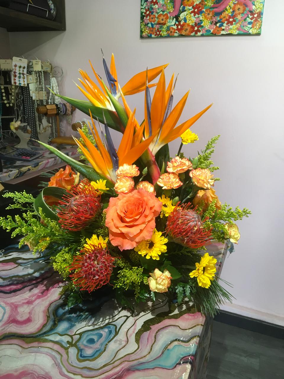 WhatsApp Image 2026-01-14 at 4.49.16 PM(3)